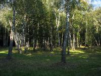 10 Istvn-kti tiszts (Glade)