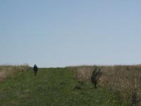 26 Magny (Loneliness)