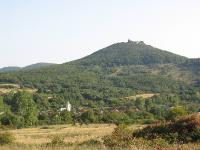 43 Ltkp (View)