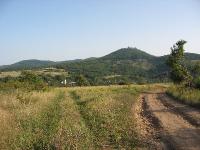 44 Ltkp (View)