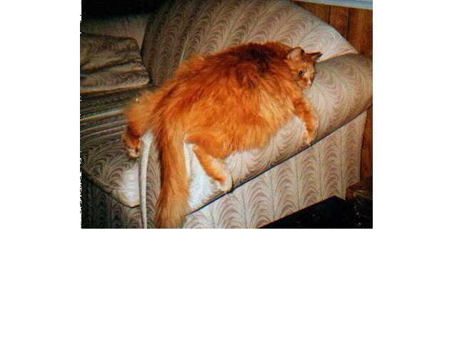 photo-007.jpg