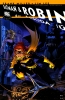 gal/all_star_batman_06/_thb_All-Star6_01.jpg
