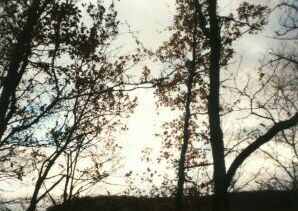 f-021210.jpg (25545 bytes)