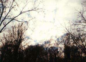 f-021212.jpg (16191 bytes)