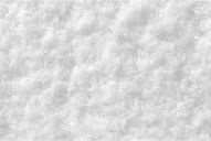 SnowGs.jpg