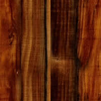 pine3.jpg