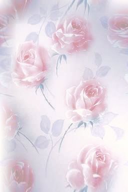 rose.jpg