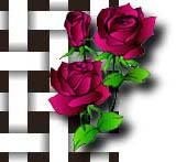 roses.jpg