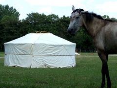 Jurta / Jurte / Yurt - 6