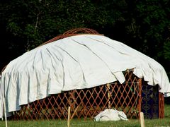 Épül jurta / Jurte im Bau / Yurt under construction - 13