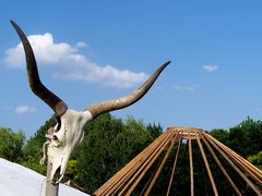 Épül jurta / Jurte im Bau / Yurt under construction - 45