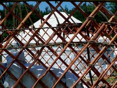 Épül jurta / Jurte im Bau / Yurt under construction - 54