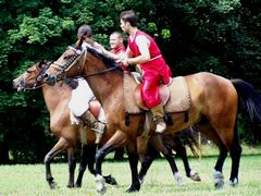 A hagyományos buszkasi játék / Buzkashi - Das traditionelle Reiterspiel / Buzkashi - The traditional game on horseback - 6