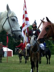 Hadak gyülekezése / Versammlung des Heeres / Assembly of the Army - 8