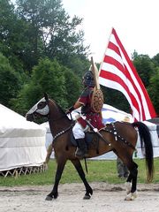 Hadak gyülekezése / Versammlung des Heeres / Assembly of the Army - 36