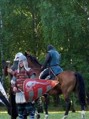 A pozsonyi csata / Die Schlacht von Preßburg / The battle of Pressburg - 17