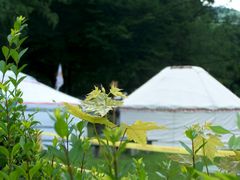 Jurták / Jurten / Yurts - 1