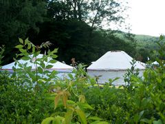 Jurták / Jurten / Yurts - 2