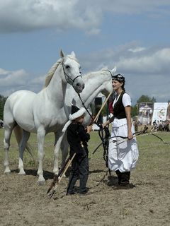 Lezsk Levente / Levente Lezsk