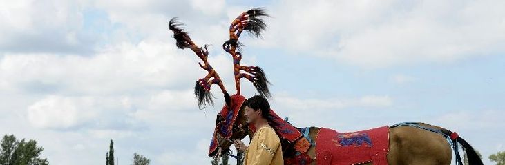 Akhal-teke ló a paziriki sírból származó szerszámzatban / Achal-Tekkiner Pferd im Geschirr vom Pazyrik Grab / Achal tekkiner horse in harness from the Pazyrik grave