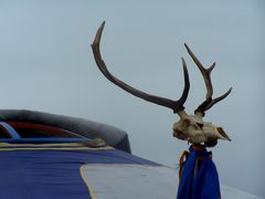 A sámán szarvasagancsa / Hirsch Geweih des Schamanen / Deer antlers of the shaman