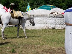 Tábori életkép lóval / Lagerszene mit Pferd / Camp scene with horse - 2