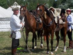 Tábori életkép lovakkal / Lagerszene mit Pferden / Camp scene with horses - 1