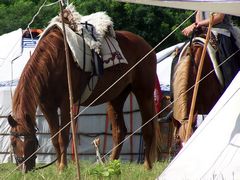 Tábori életkép lovakkal / Lagerszene mit Pferden / Camp scene with horses - 2