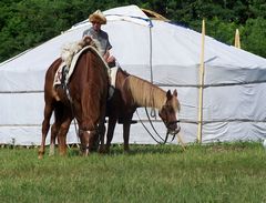 Tábori életkép lovakkal / Lagerszene mit Pferden / Camp scene with horses - 5