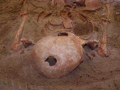 Az s csontjai / Skelette des Ahnen / Skeletons of the ancestor - 1