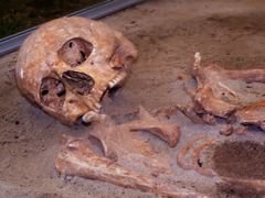 Az s csontjai / Skelette des Ahnen / Skeletons of the ancestor - 3