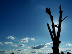 Az sök Fája / Der Baum der Ahnen / The Tree of the Ancestors - 1