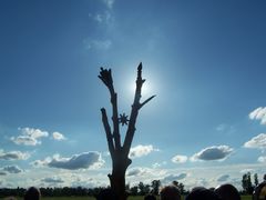 Az sök Fája / Der Baum der Ahnen / The Tree of the Ancestors - 4