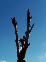Az sök Fája / Der Baum der Ahnen / The Tree of the Ancestors - 9