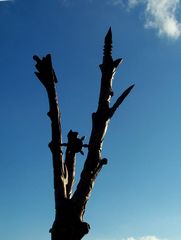 Az sök Fája / Der Baum der Ahnen / The Tree of the Ancestors - 12