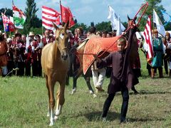Akhal-teke lovak a paziriki sírból származó szerszámzatban / Achal-Tekkiner Pferde im Geschirr vom Pazyrik Grab / Achal tekkiner horses in harness from the Pazyrik grave