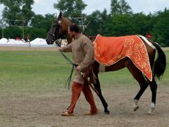 Akhal-teke ló a paziriki sírból származó szerszámzatban / Achal-Tekkiner Pferd im Geschirr vom Pazyrik Grab / Achal tekkiner horse in harness from the Pazyrik grave - 2