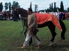 Akhal-teke ló a paziriki sírból származó szerszámzatban / Achal-Tekkiner Pferd im Geschirr vom Pazyrik Grab / Achal tekkiner horse in harness from the Pazyrik grave - 5