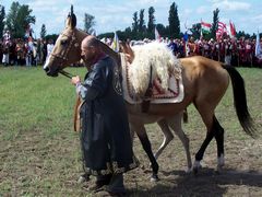 Akhal-teke ló a paziriki sírból származó szerszámzatban a csikóval / Achal-Tekkiner Pferd im Geschirr vom Pazyrik Grab mit dem Fohlen / Achal tekkiner horse in harness from the Pazyrik grave with the foal - 1