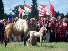 Akhal-teke ló a paziriki sírból származó szerszámzatban a csikóval / Achal-Tekkiner Pferd im Geschirr vom Pazyrik Grab mit dem Fohlen / Achal tekkiner horse in harness from the Pazyrik grave with the foal - 2
