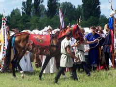Akhal-teke ló a paziriki sírból származó szerszámzatban / Achal-Tekkiner Pferd im Geschirr vom Pazyrik Grab / Achal tekkiner horse in harness from the Pazyrik grave - 8