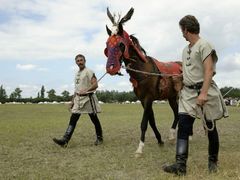Akhal-teke ló a paziriki sírból származó szerszámzatban / Achal-Tekkiner Pferd im Geschirr vom Pazyrik Grab / Achal tekkiner horse in harness from the Pazyrik grave - 12