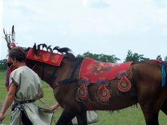 Akhal-teke ló a paziriki sírból származó szerszámzatban / Achal-Tekkiner Pferd im Geschirr vom Pazyrik Grab / Achal tekkiner horse in harness from the Pazyrik grave - 13