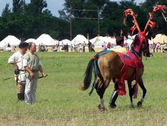 Akhal-teke ló a paziriki sírból származó szerszámzatban / Achal-Tekkiner Pferd im Geschirr vom Pazyrik Grab / Achal tekkiner horse in harness from the Pazyrik grave - 15