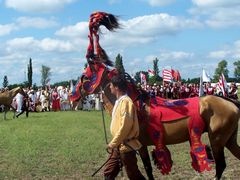 Akhal-teke ló a paziriki sírból származó szerszámzatban / Achal-Tekkiner Pferd im Geschirr vom Pazyrik Grab / Achal tekkiner horse in harness from the Pazyrik grave - 16