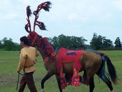 Akhal-teke ló a paziriki sírból származó szerszámzatban / Achal-Tekkiner Pferd im Geschirr vom Pazyrik Grab / Achal tekkiner horse in harness from the Pazyrik grave - 17