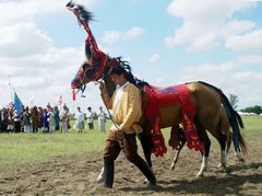 Akhal-teke ló a paziriki sírból származó szerszámzatban / Achal-Tekkiner Pferd im Geschirr vom Pazyrik Grab / Achal tekkiner horse in harness from the Pazyrik grave - 19