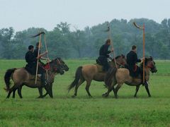 Lovasság / Reiterei / Cavalry - 1