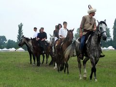 Lovasság / Reiterei / Cavalry - 2