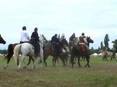 Lovasság a történelmi élképben / Reiterei im historischen lebenden Bild / Cavalry in the historical living picture - 10